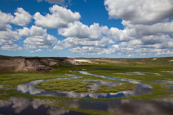 Best of Yellowstone - Guided National Park Safari Tour - The Grand Canyon of the Yellowstone