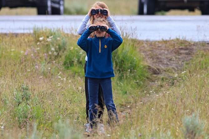 Best of Yellowstone - Guided National Park Safari Tour - Hayden Valley and the search for wildlife
