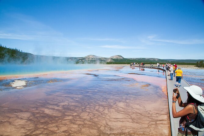 Best of Yellowstone Guided Tour from Bozeman - Private Tour - Why the private format matters in Yellowstone