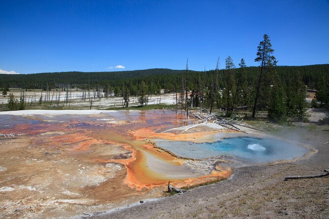 Best of Yellowstone Guided Tour from Bozeman - Private Tour - Yellowstone Lake and the long central stretch