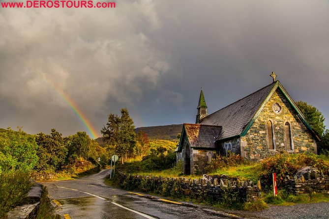 Best Ring of Kerry Tour ex Killarney inc Killarney National Park - The sheepdogs at Kells