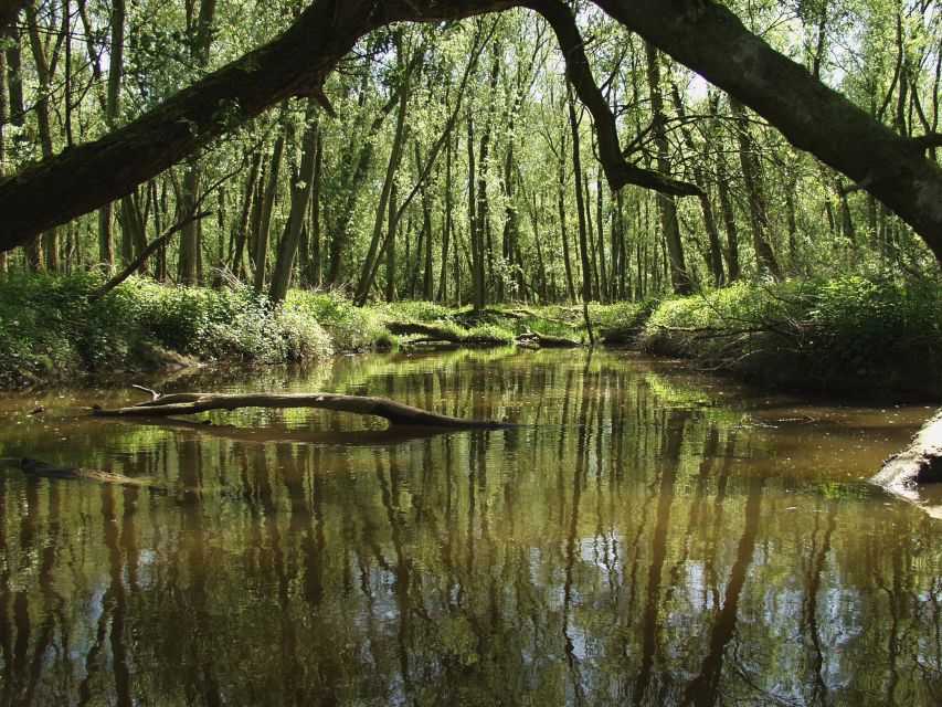 Biesbosch: Boat Cruise through National Park - Key points to know before boarding