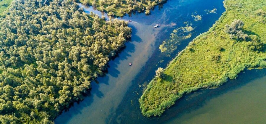 Biesbosch: Boat Cruise through National Park - Wildlife watching from the large deck