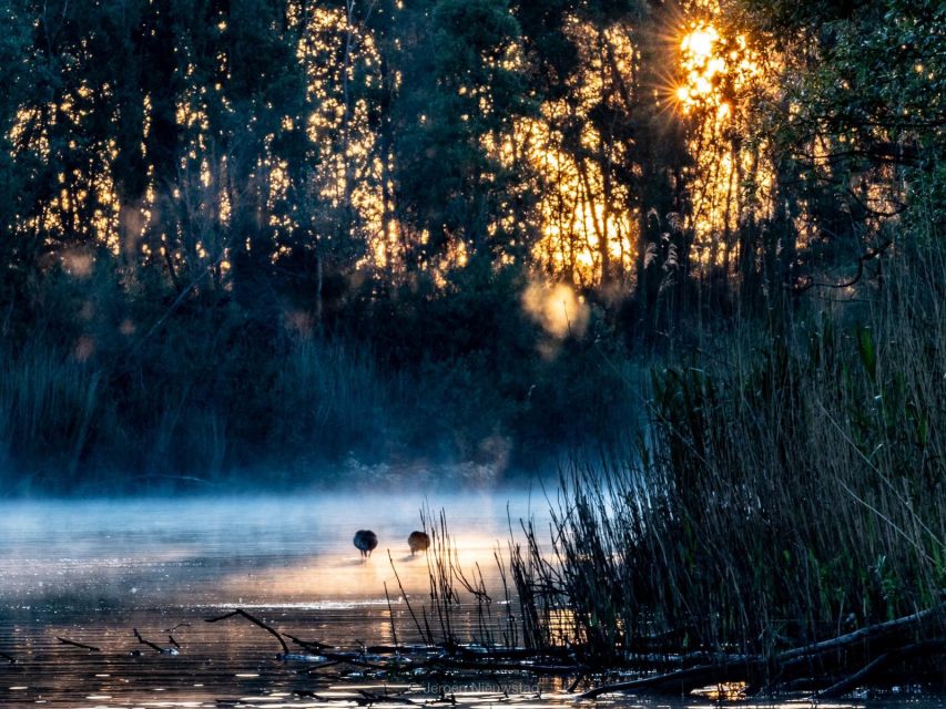 Biesbosch: Boat Cruise through National Park - Who will enjoy this cruise most