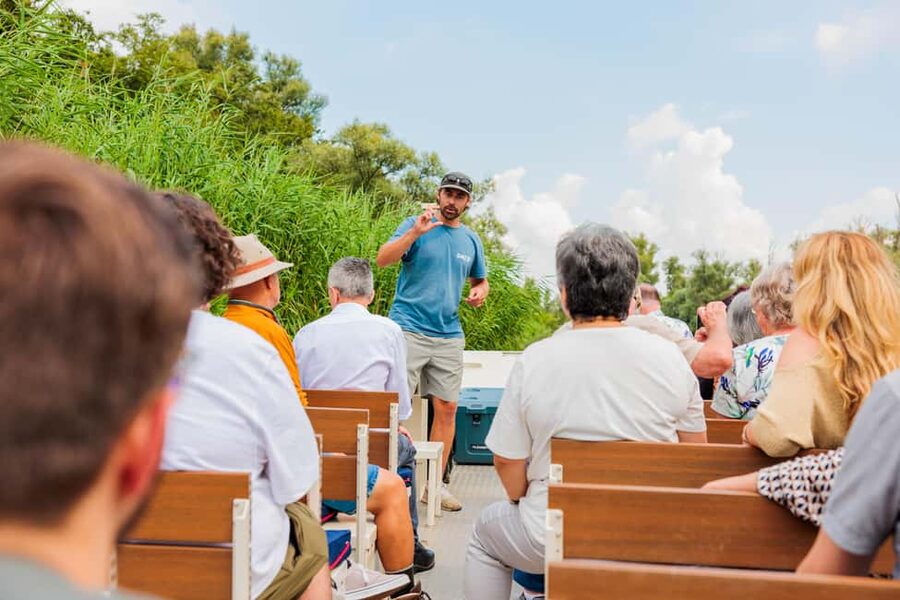 Biesbosch: National Park Cruise - A water-level view of De Biesbosch