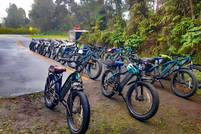 Big Island: Fat Tire E-Bike Tour through Volcanoes National Park - Is $199 a fair price?