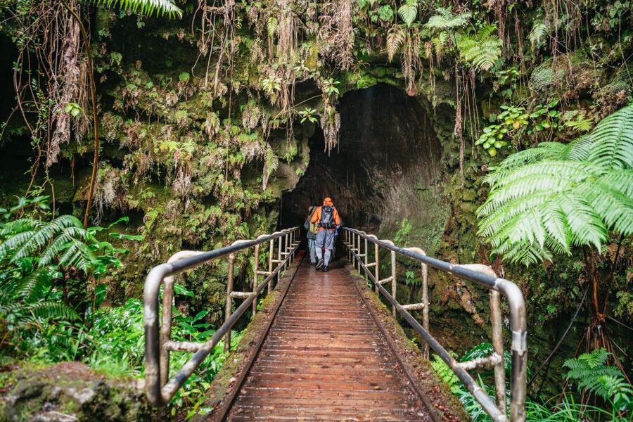 Big Island: Hawai'i Volcanoes National Park Guided Hike - Why Kilauea Iki makes this hike worth considering