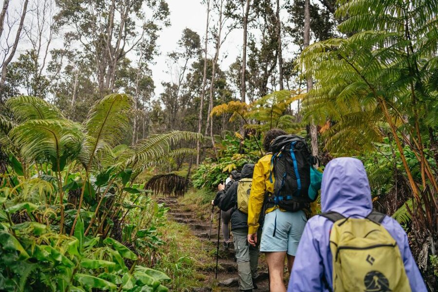 Big Island: Hawai'i Volcanoes National Park Guided Hike - Rainforest walking and native Hawaiian ecology