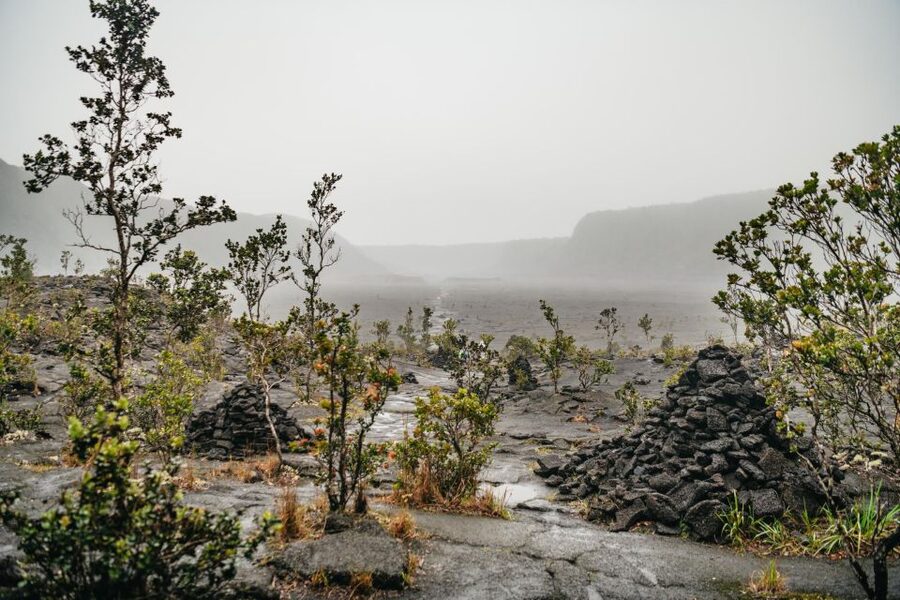Big Island: Hawai'i Volcanoes National Park Guided Hike - What the breakfast and picnic are really worth