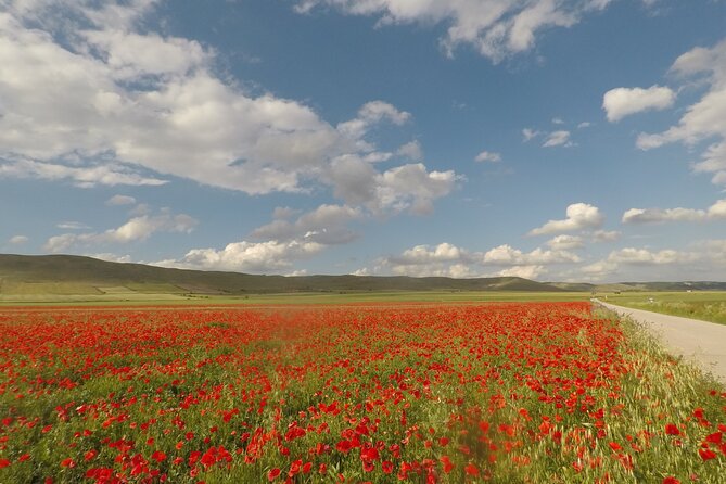 Bike Tour in the Alta Murgia National Park (Pulo of Altamura) - Two hours through the Alta Murgia