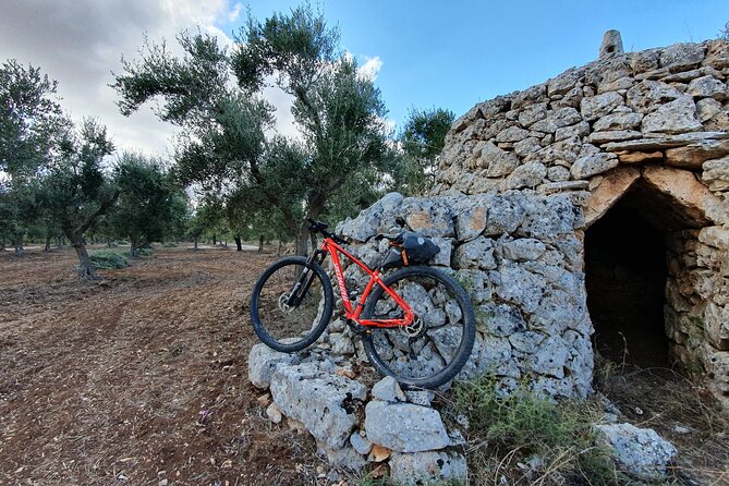 Bike Tour in the Alta Murgia National Park (Pulo of Altamura) - The cave and balcony at the Pulo