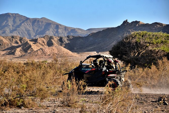 Boa Vista 2h Buggy Death Valley Adventure 1000cc - The 4:30 pm start at No Limits Adventure