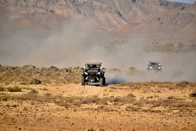 Boa Vista 2h Buggy Death Valley Adventure 1000cc - Fonte Vicente and the baobab tree