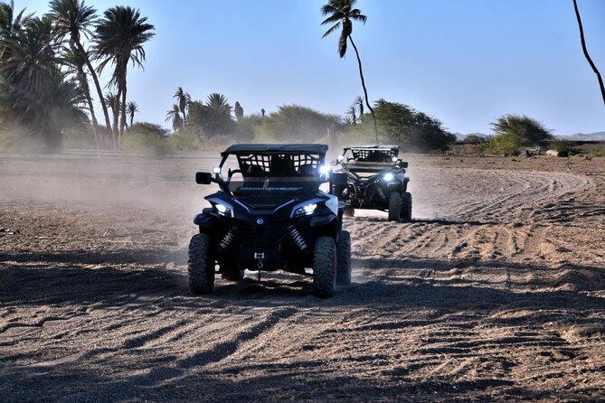 Boa Vista 2h Buggy Death Valley Adventure 1000cc - How fast is the ride?