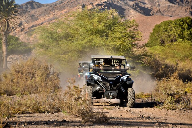 Boa Vista 2h Buggy Death Valley Adventure 1000cc - Is this a good choice for families?
