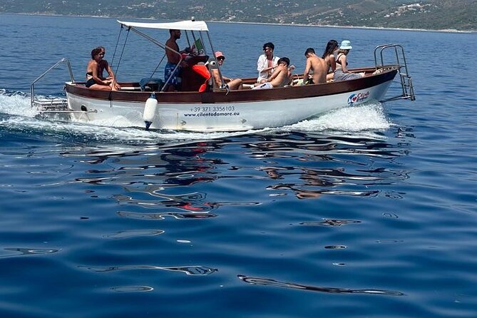 Boat experience in the crystal clear waters of Cilento - Capo Palinuro lighthouse and the coast’s working past