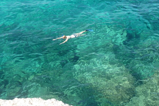 Boat tour to explore the Marine Protected Area of Tavolara - What makes this Tavolara boat trip worth considering
