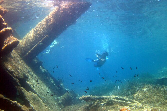 Boat tour to explore the Marine Protected Area of Tavolara - A fast, friendly route through Tavolara’s protected waters