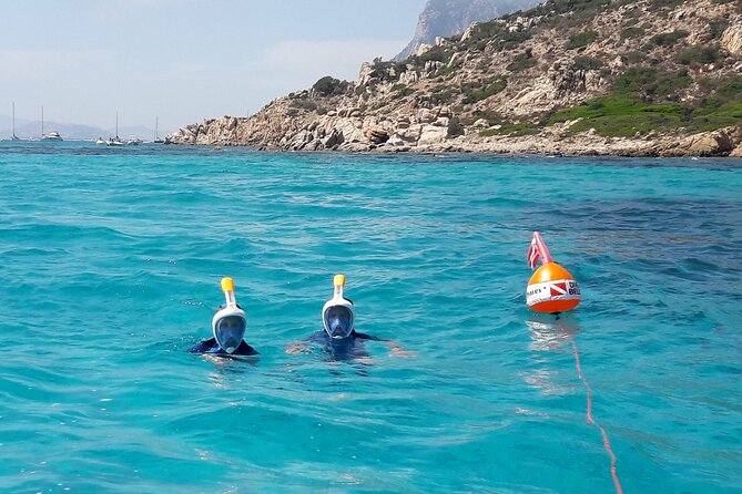 Boat tour to explore the Marine Protected Area of Tavolara - What snorkeling is like from the RIB