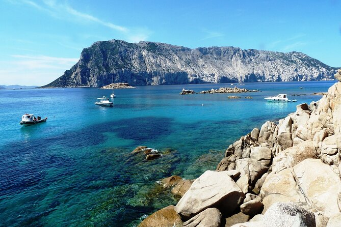 Boat tour to explore the Marine Protected Area of Tavolara - A small boat, capable guides, and simple refreshments