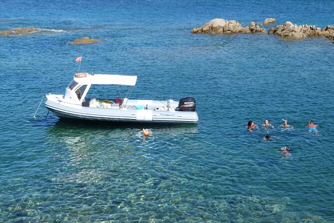Boat tour to explore the Marine Protected Area of Tavolara - The price, timing, and meeting point