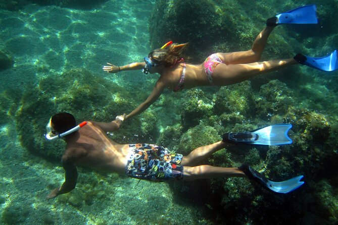 Boat tour to explore the Marine Protected Area of Tavolara - Who will enjoy this tour most