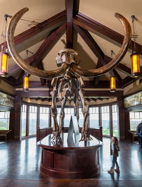 Branson: Top of the Rock Ozarks Heritage Preserve - The Ancient Ozarks Natural History Museum