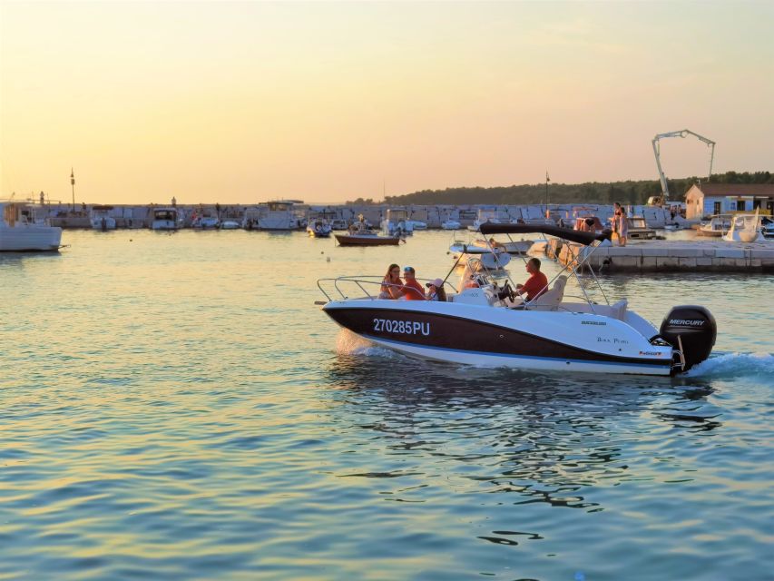Brijuni Islands: Sunset & Dolphins private boat tour - Searching for Adriatic dolphins