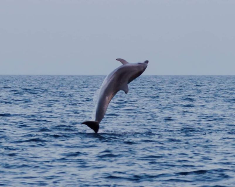 Brijuni Islands: Sunset & Dolphins private boat tour - Weather, comfort, and practical limits