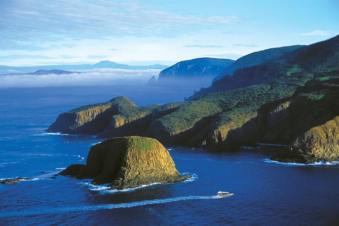 Bruny Island Wilderness Cruise from Adventure Bay, Bruny Island - Wildlife watching from a fast boat