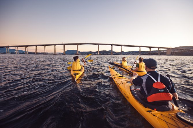 Bruny Island Wilderness Cruise from Adventure Bay, Bruny Island - Who will enjoy this Bruny Island cruise?
