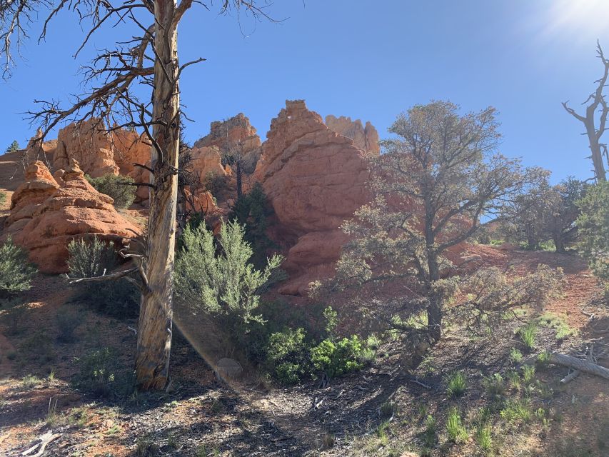 Bryce Canyon City: Horseback Riding Tour in Red Canyon - A Slow Ride Through Southern Utah’s Red Rock Country
