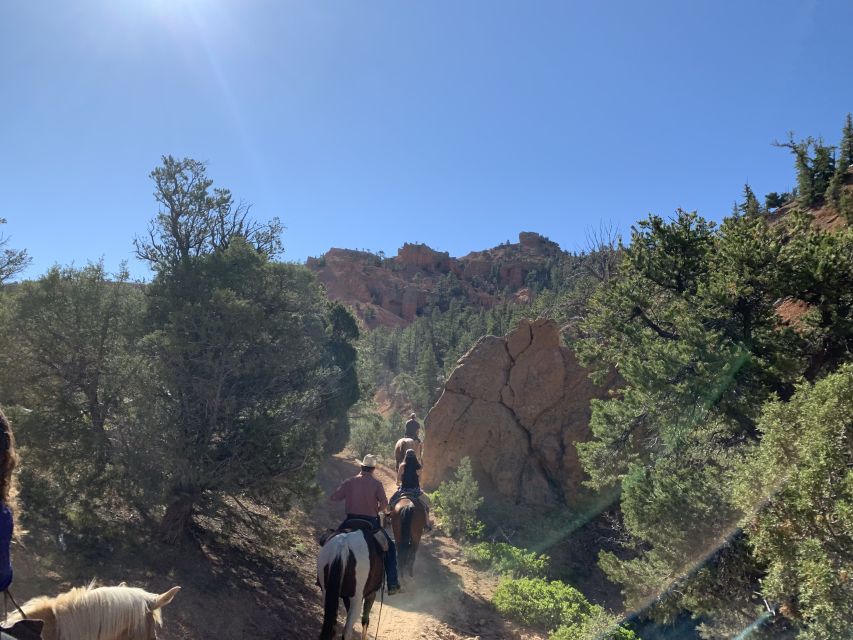 Bryce Canyon City: Horseback Riding Tour in Red Canyon - Meeting the Horses and Getting Comfortable in the Saddle