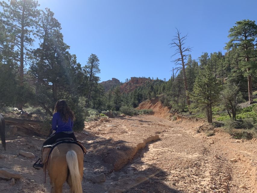 Bryce Canyon City: Horseback Riding Tour in Red Canyon - What Three Hours in the Saddle Really Feels Like