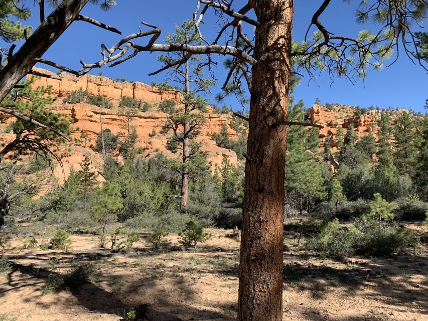 Bryce Canyon City: Horseback Riding Tour in Red Canyon - Following the Trail Into Losee Canyon