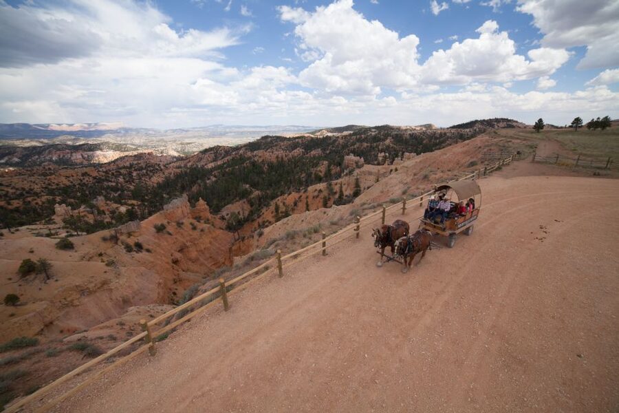 Bryce Canyon City: Wagon Ride to the Rim of Bryce Canyon - Through Dixie National Forest at horse speed