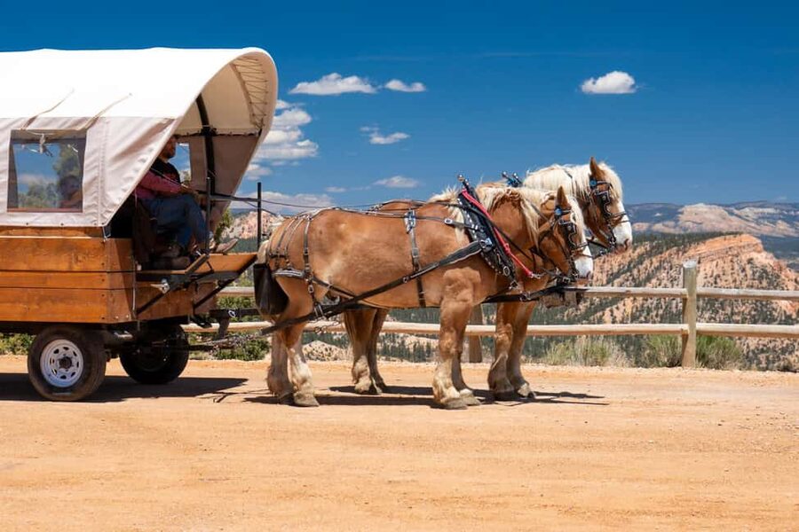 Bryce Canyon City: Wagon Ride to the Rim of Bryce Canyon - Tropic Ditch waterfalls in the warmer months