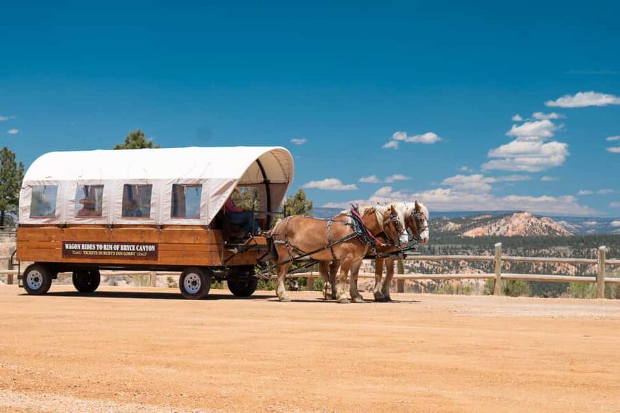 Bryce Canyon City: Wagon Ride to the Rim of Bryce Canyon - What to pack and how to plan the day