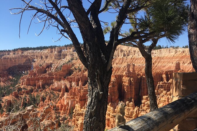 Bryce Canyon E-bike Tour - Short Walks, Wildlife, and Time for Photos