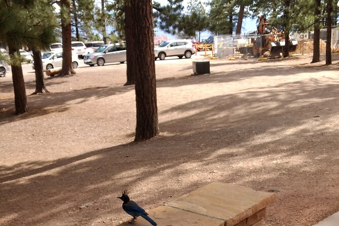 Bryce Canyon E-bike Tour - Following the Bike Path Toward the Park