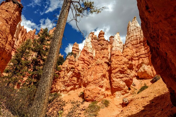 Bryce Canyon Hiking Challenge - Is the Bryce Canyon Hiking Challenge worth it?