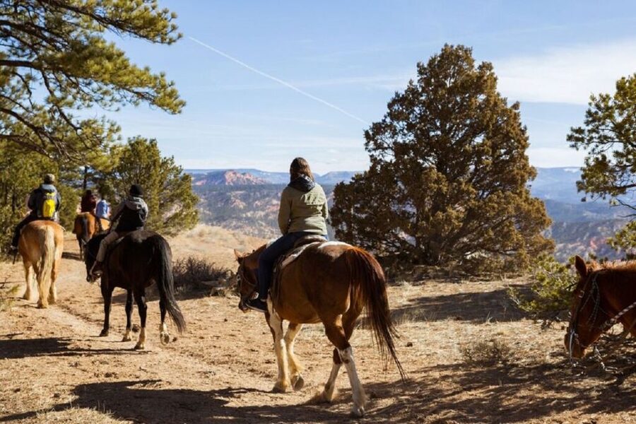 Bryce Canyon: Horseback Ride in the Dixie National Forest - Ancient pines and the approach to the rim