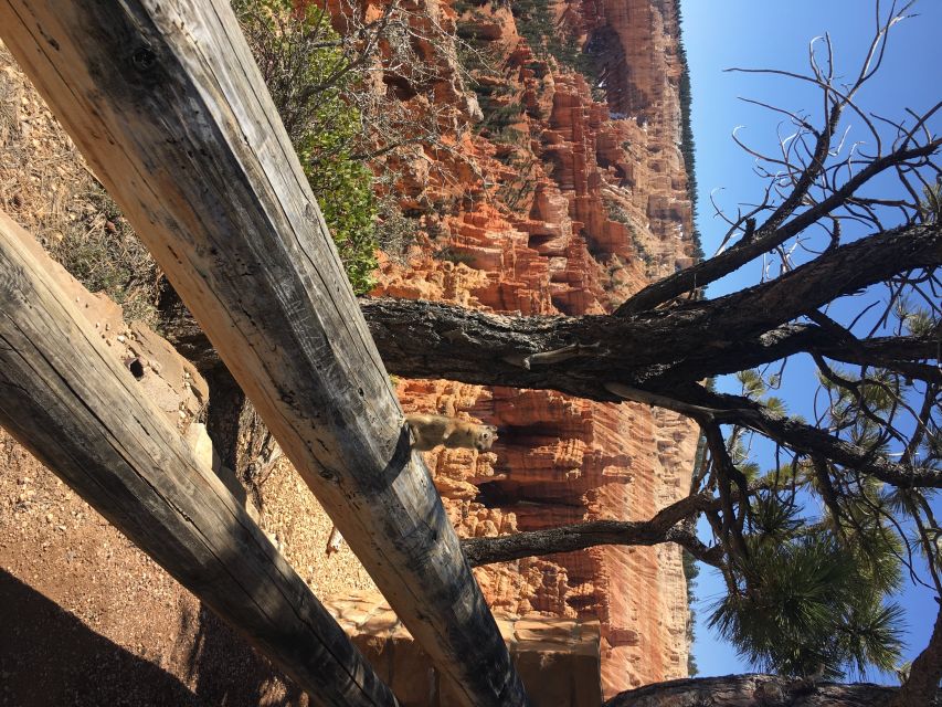 Bryce Canyon National Park: Guided E-Bike Tour - The return ride and the value of skipping parking