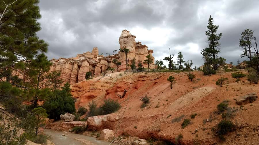 Bryce Canyon National Park Hiking Experience - Guides who turn rock into a story