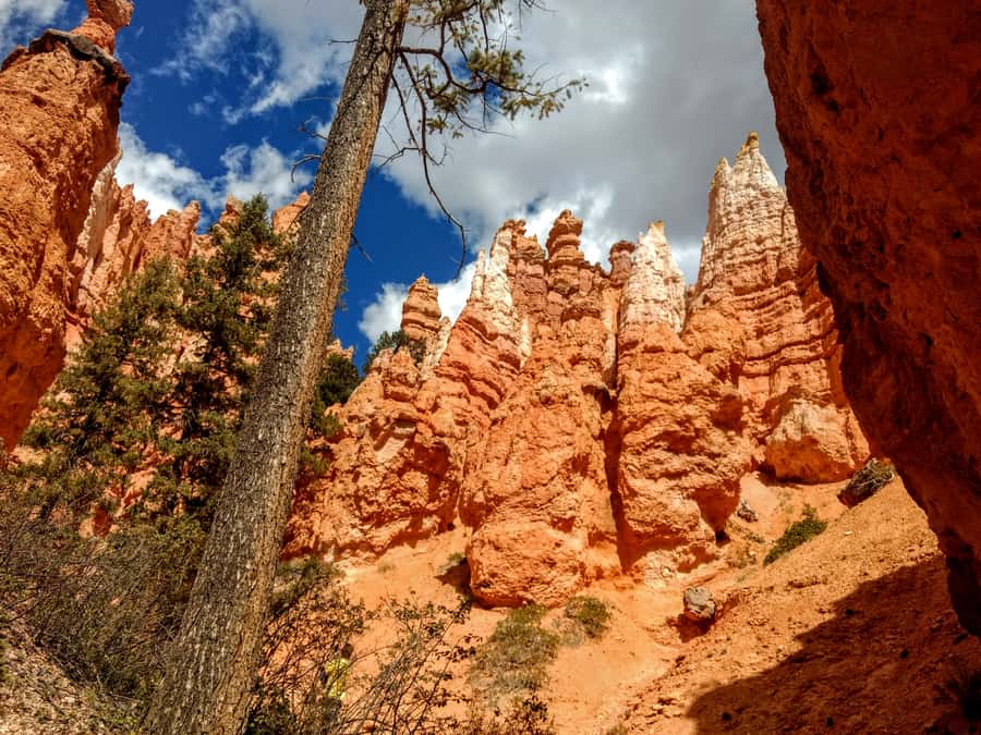 Bryce Canyon National Park Hiking Experience - Heat, timing, water, and the practical side