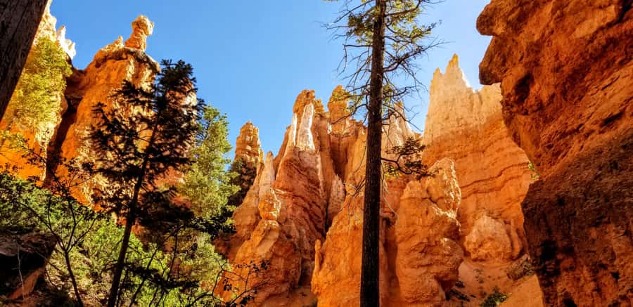 Bryce Canyon National Park Hiking Experience - What the five-hour route can feel like