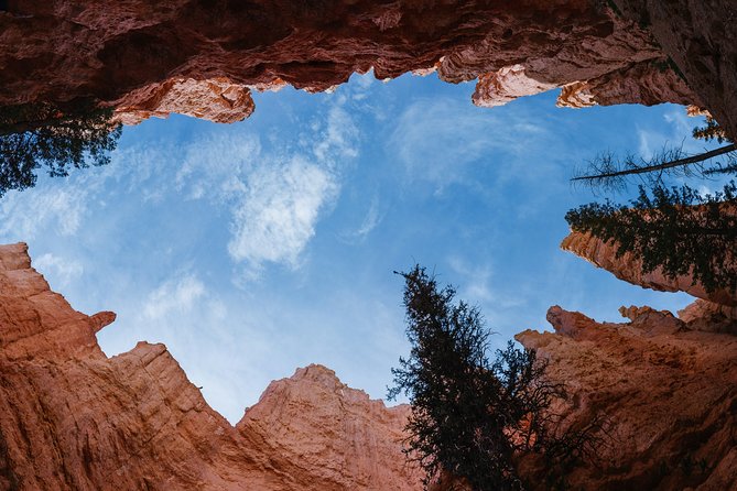 Bryce Canyon & Zion National Park from Las Vegas with Lunch, WiFi - Bryce Canyon: the visual payoff