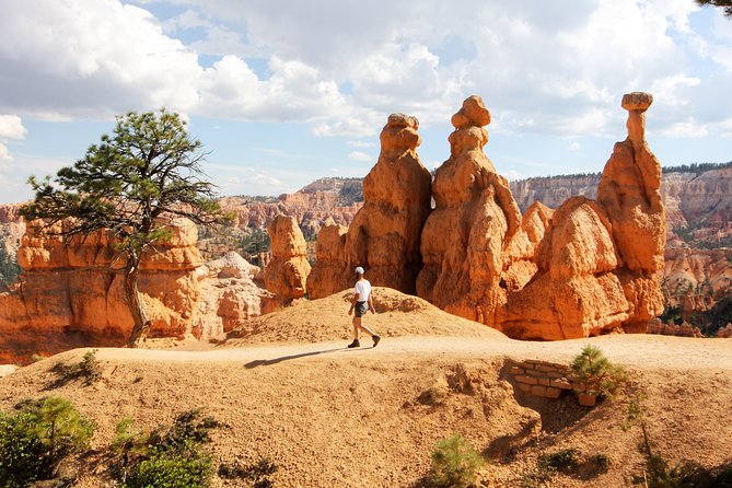 Bryce Canyon & Zion National Park from Las Vegas with Lunch, WiFi - Lunch, WiFi, and the realities of the vehicle