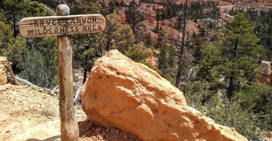 Bryce: Guided Sightseeing Tour of Bryce Canyon National Park - Key points to know before booking