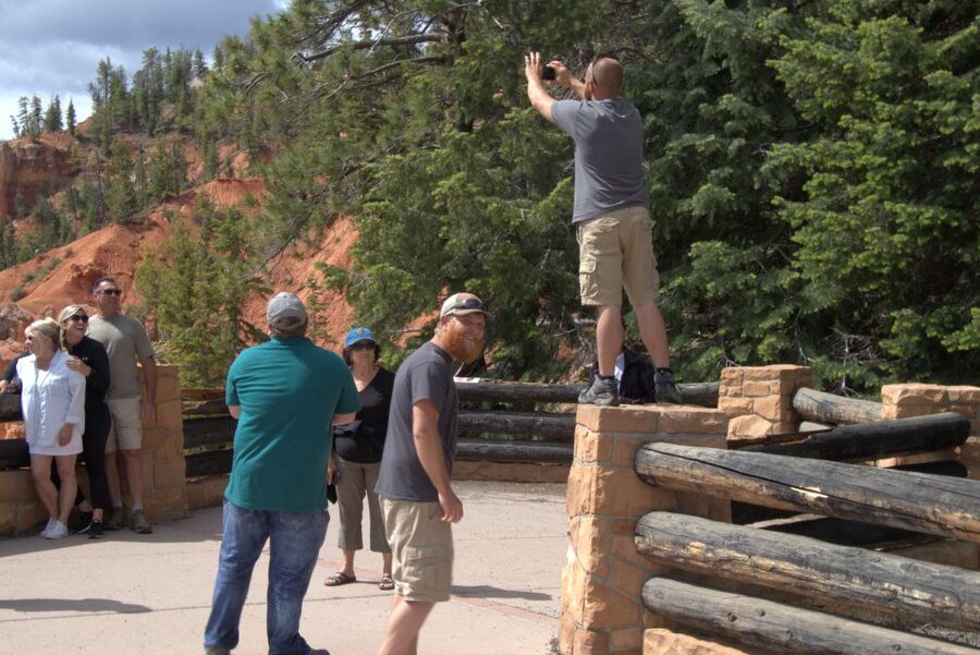 Bryce: Guided Sightseeing Tour of Bryce Canyon National Park - Who should book this Bryce Canyon tour?